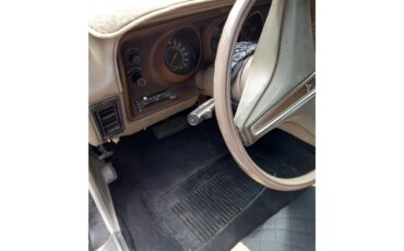 Dodge-Charger-1974-Black-Beige-16