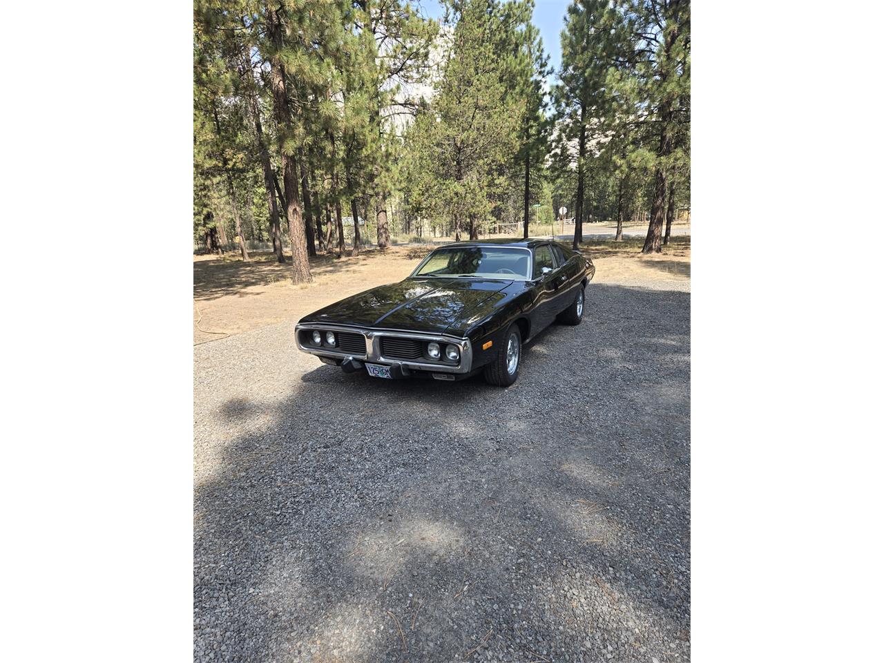 Dodge-Charger-1974-Black-Beige-2