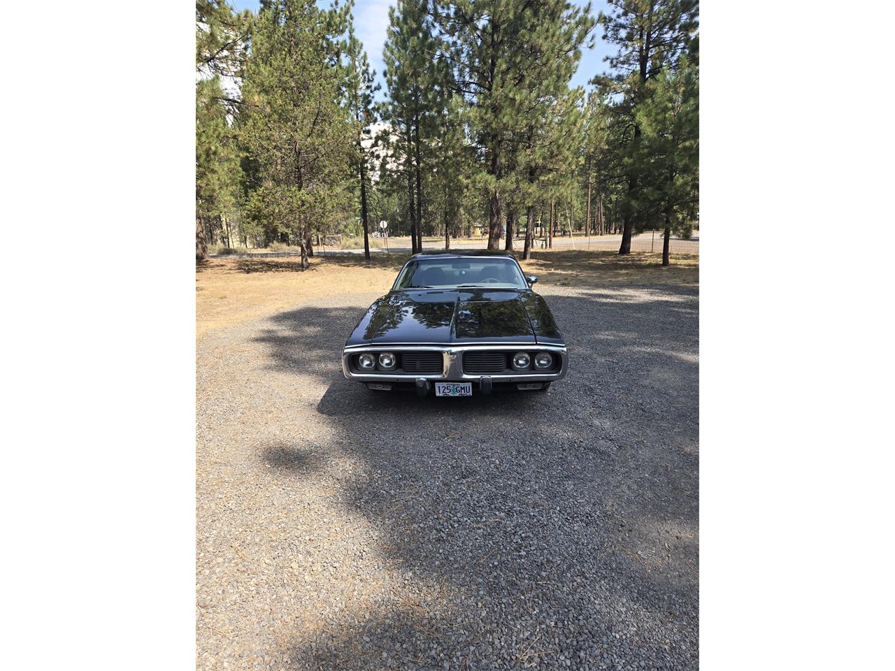 Dodge-Charger-1974-Black-Beige-4