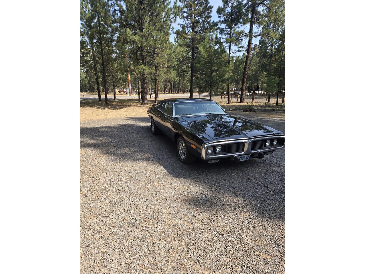 Dodge-Charger-1974-Black-Beige-5