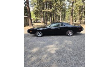 Dodge-Charger-1974-Black-Beige-6