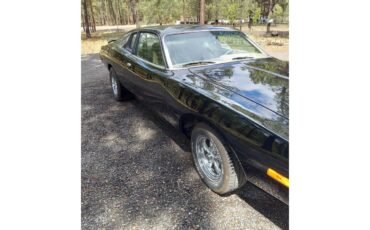 Dodge-Charger-1974-Black-Beige-7