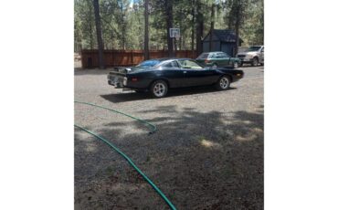 Dodge-Charger-1974-Black-Beige-8