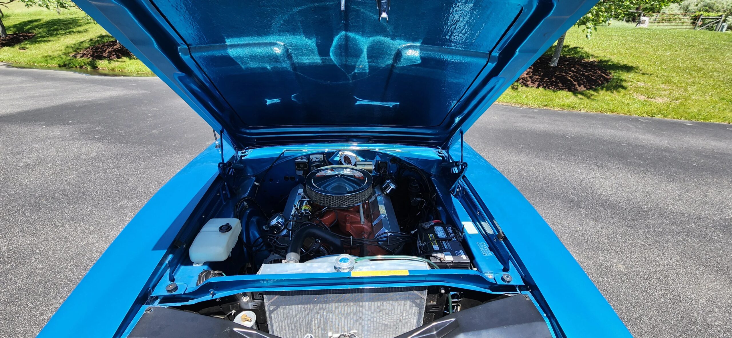 Dodge-Charger-rt-1968-Blue-White-25