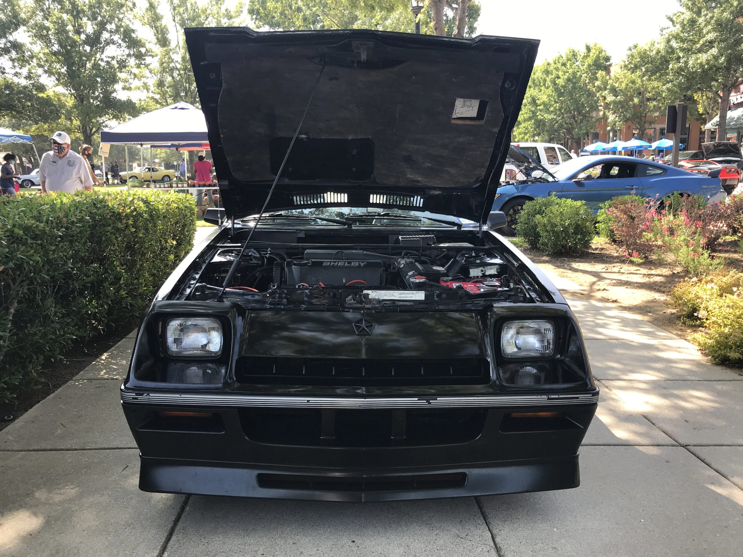 Dodge-Charger-shelby-1987-Black-Gray-16