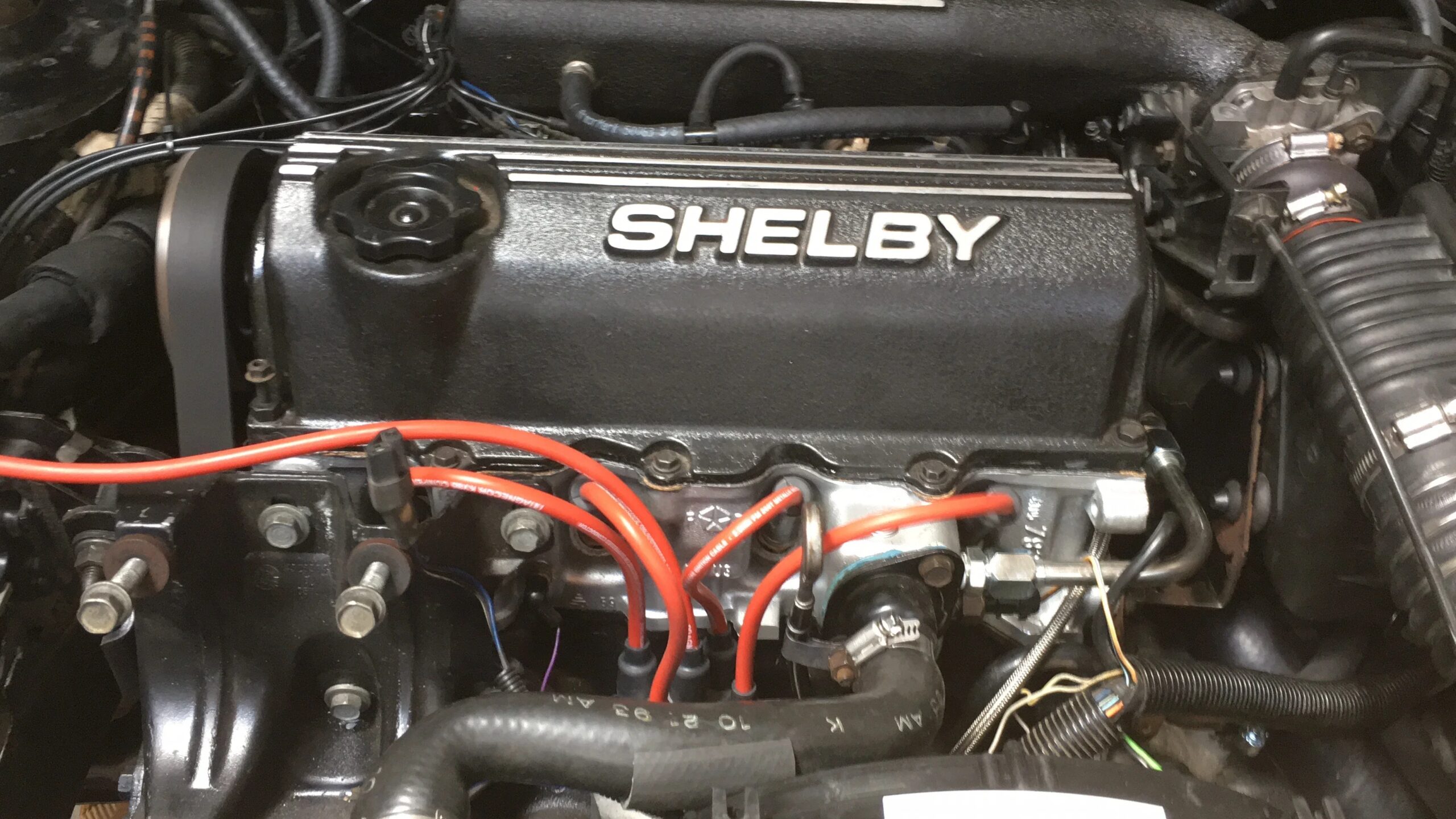 Dodge-Charger-shelby-1987-Black-Gray-25