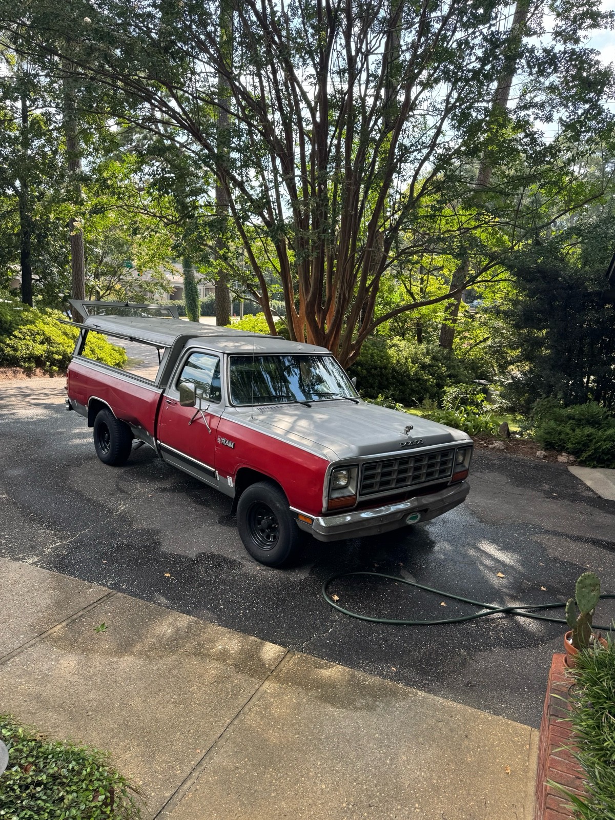 Dodge-D-Series-1984-8