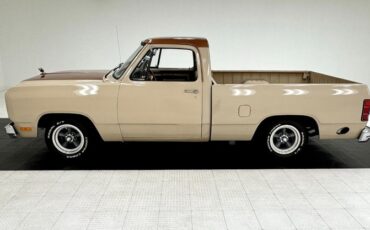 Dodge-D100-1984-Beige-Sand-Brown-31