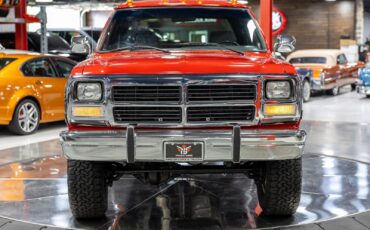 Dodge-D250-W250-1993-Pickup-Truck-2
