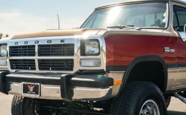 Dodge-D350-W350-1992-Pickup-Truck-28