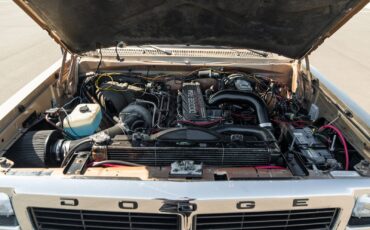Dodge-D350-W350-1992-Pickup-Truck-34