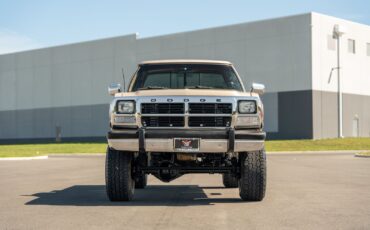 Dodge-D350-W350-1992-Pickup-Truck-8