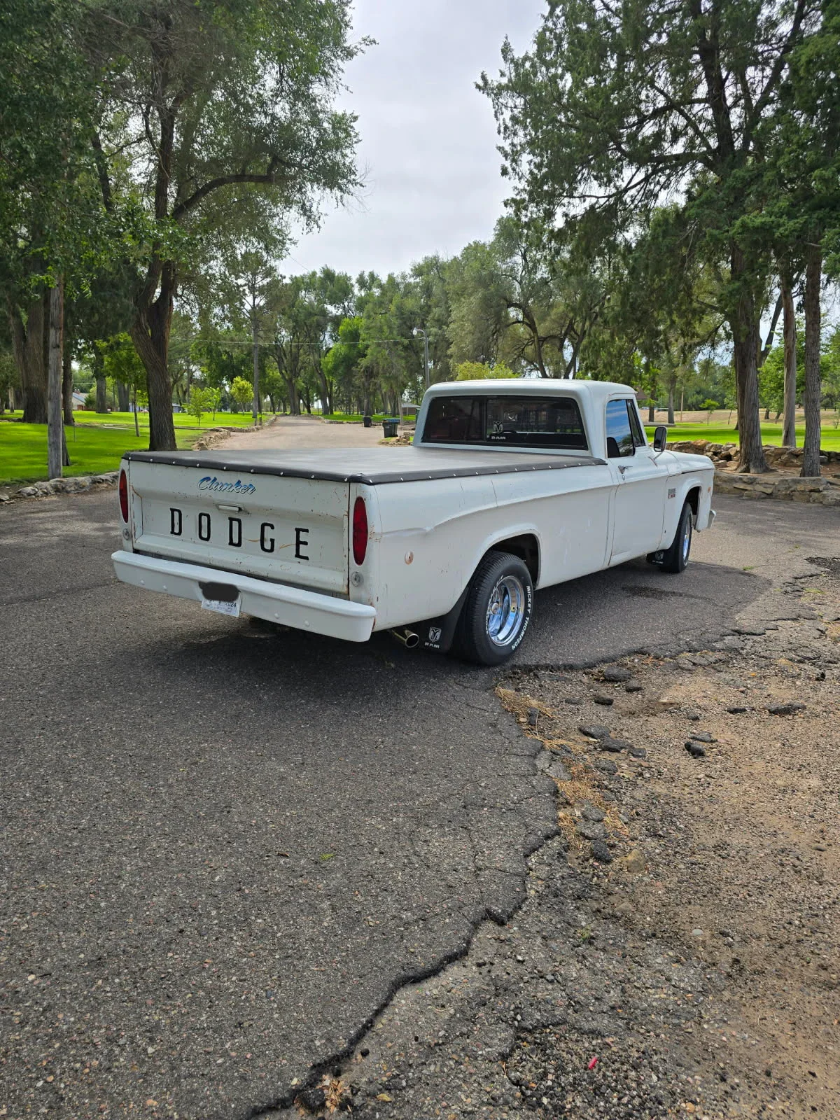 Dodge-Dw-truck-1969-White-Blue-1