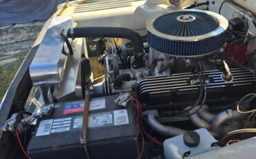 Dodge-Dw-truck-1969-White-Blue-3