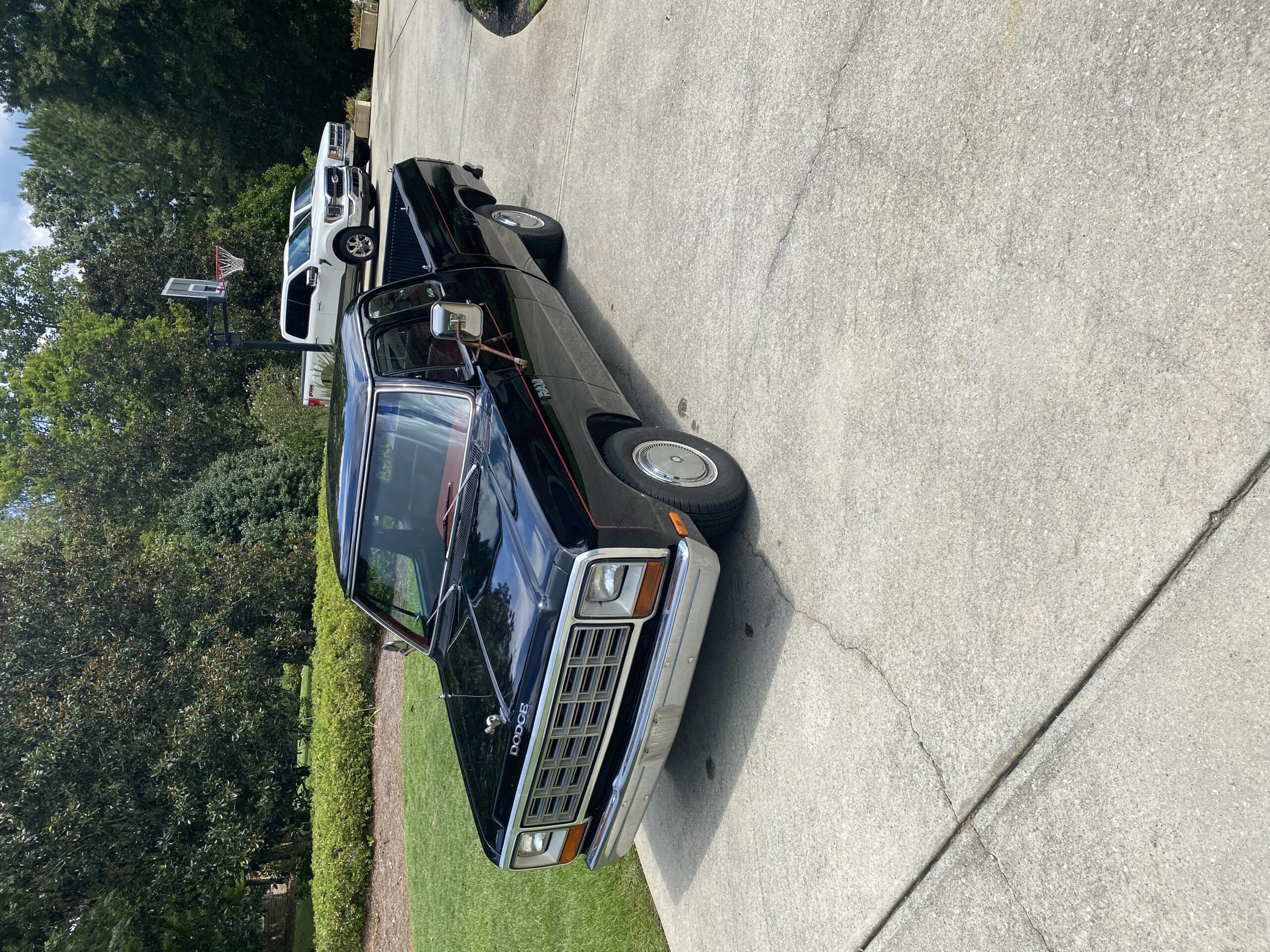 Dodge-Dw-truck-2wd-club-cab-d-150-1982-Black-Burgundy-12