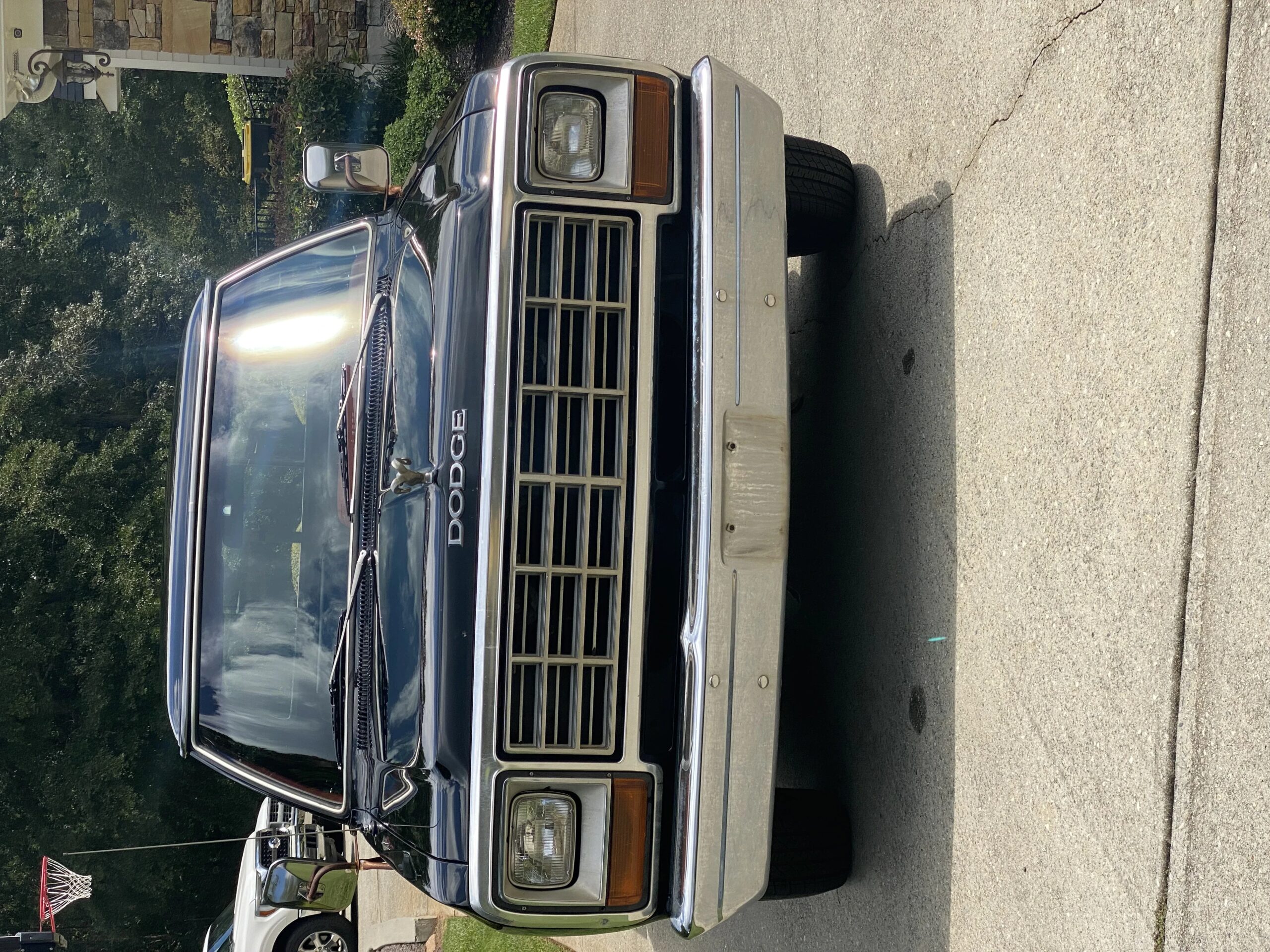Dodge-Dw-truck-2wd-club-cab-d-150-1982-Black-Burgundy-14