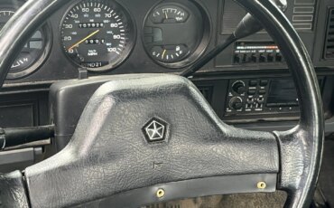 Dodge-Dw-truck-2wd-regular-cab-d-250-1991-White-11