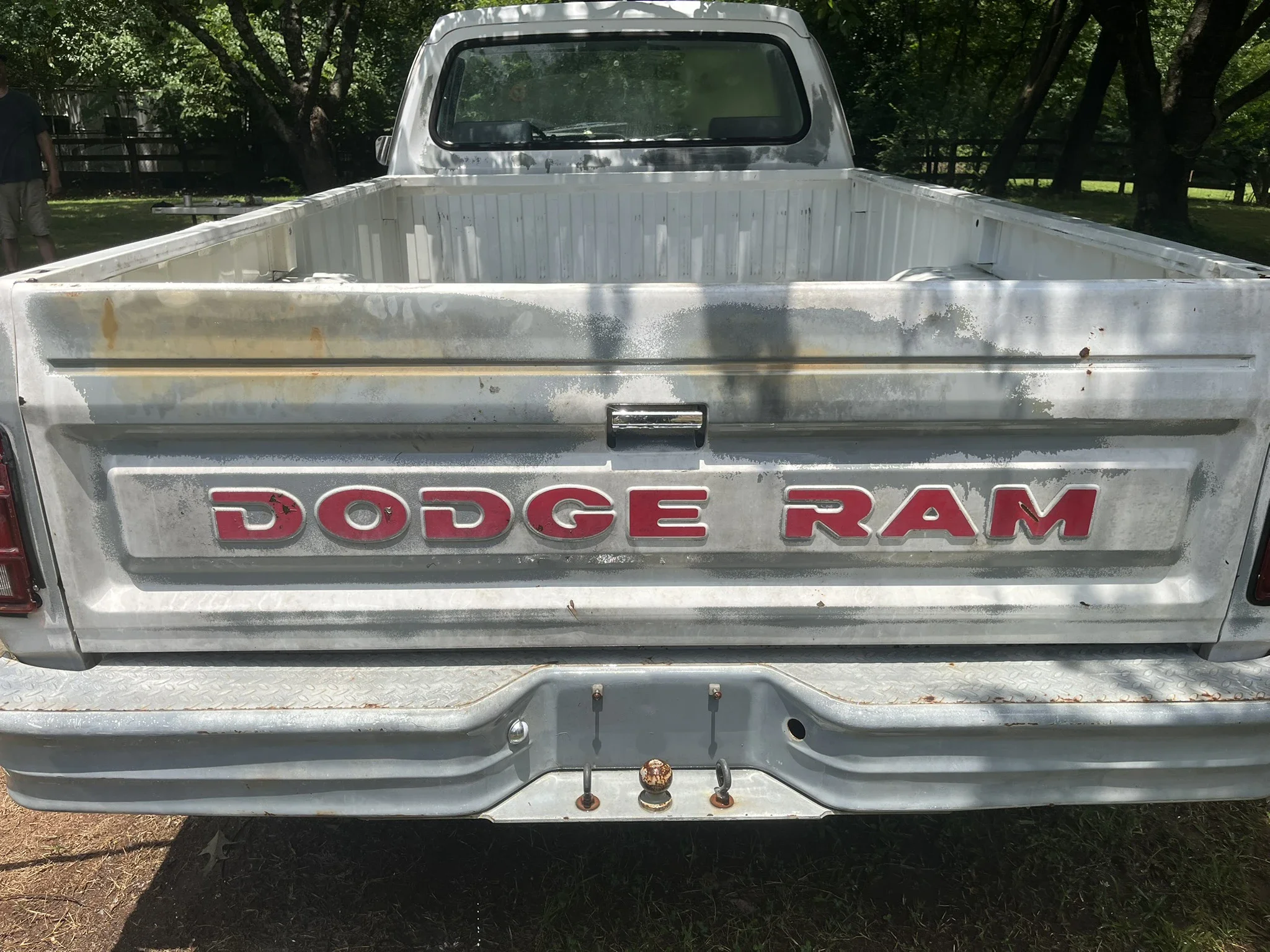 Dodge-Dw-truck-2wd-regular-cab-d-250-1991-White-2