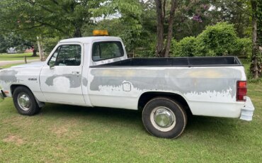 Dodge-Dw-truck-2wd-regular-cab-d-250-1991-White