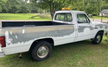 Dodge-Dw-truck-2wd-regular-cab-d-250-1991-White-4
