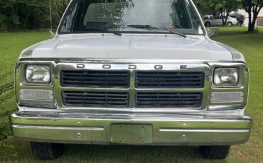Dodge-Dw-truck-2wd-regular-cab-d-250-1991-White-5