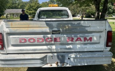 Dodge-Dw-truck-2wd-regular-cab-d-250-1991-White-9