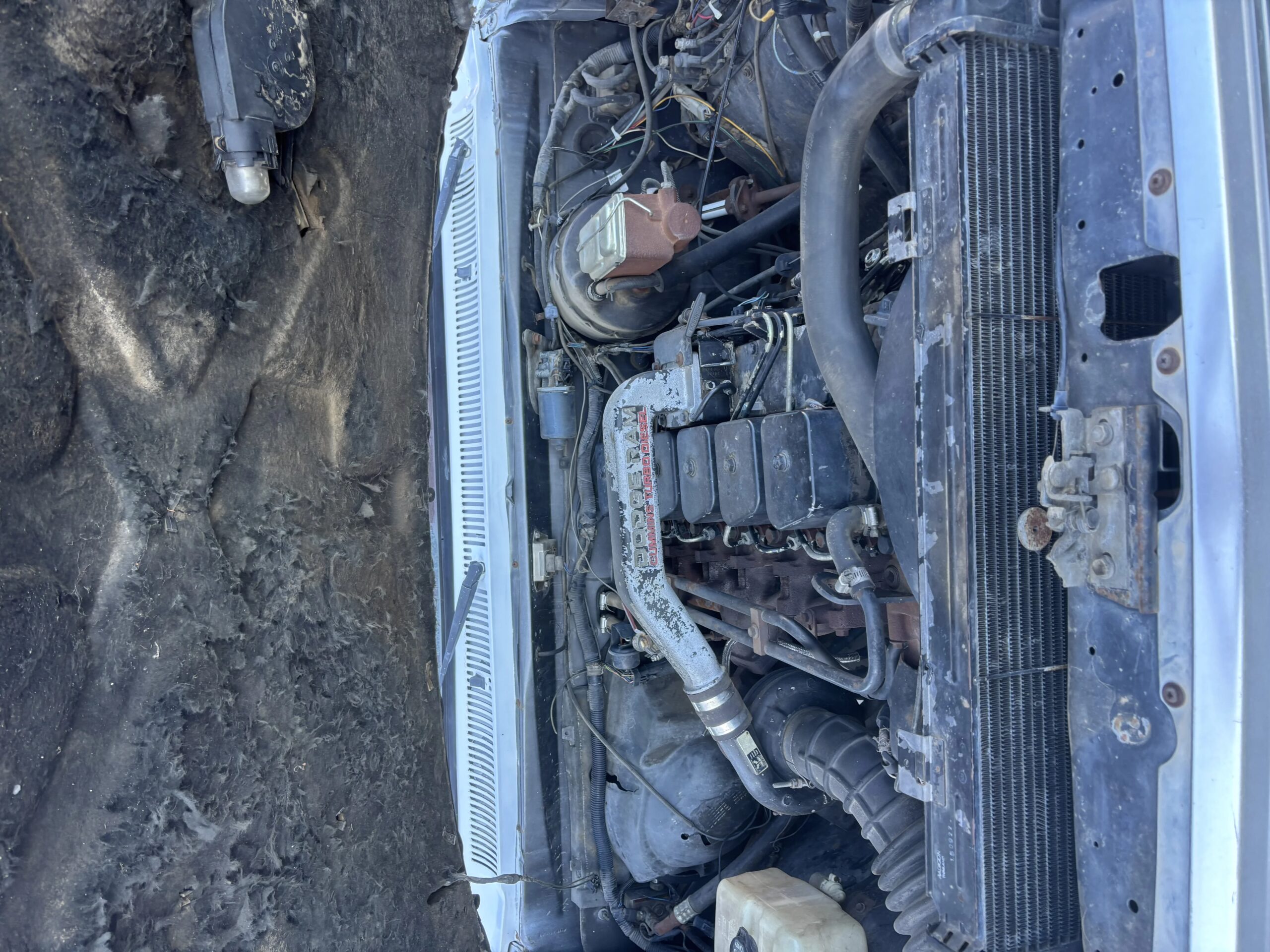 Dodge-Dw-truck-2wd-regular-cab-d-350-1990-White-Burgundy-13