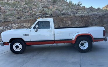 Dodge-Dw-truck-2wd-regular-cab-d-350-1990-White-Burgundy-22