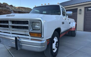 Dodge-Dw-truck-2wd-regular-cab-d-350-1990-White-Burgundy-25