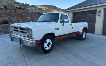Dodge-Dw-truck-2wd-regular-cab-d-350-1990-White-Burgundy