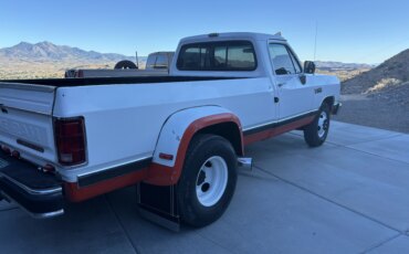 Dodge-Dw-truck-2wd-regular-cab-d-350-1990-White-Burgundy-4