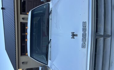 Dodge-Dw-truck-2wd-regular-cab-d-350-1990-White-Burgundy-7