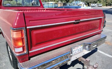 Dodge-Dw-truck-4x4-regular-cab-1989-Red-Tan-5