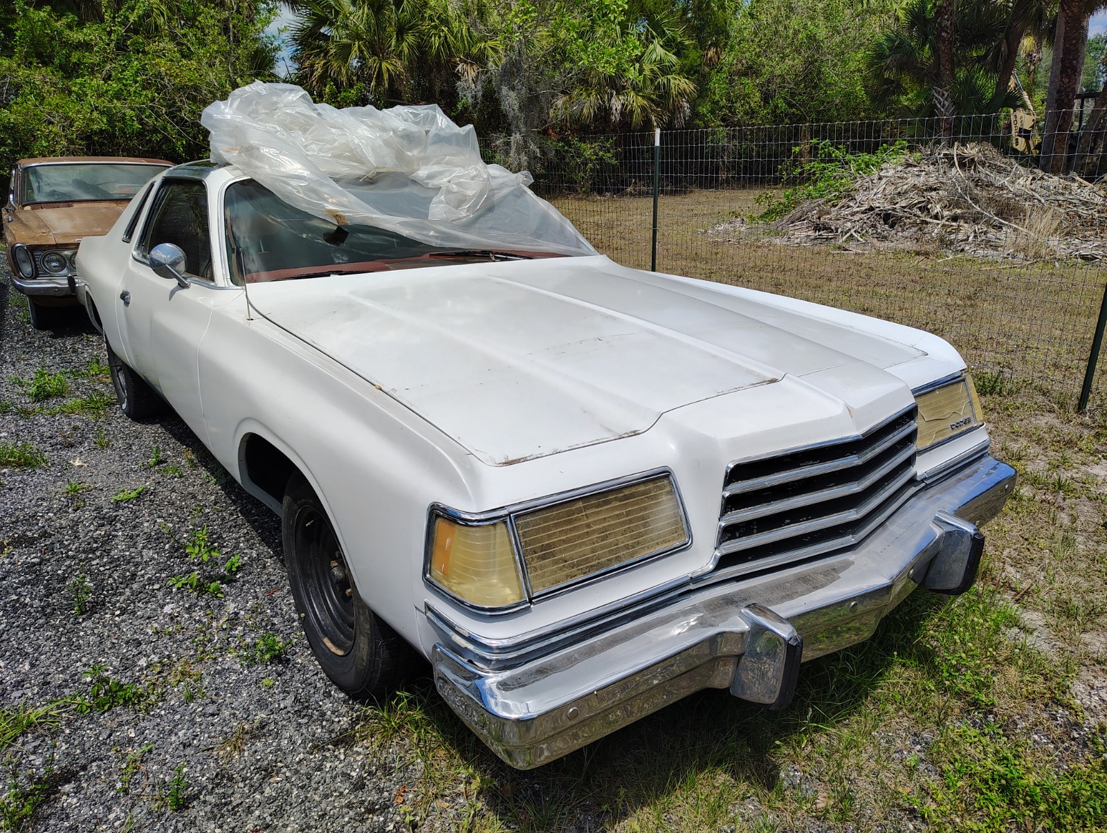Dodge-Magnum-1978-Coupe-1