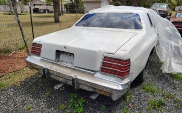 Dodge-Magnum-1978-Coupe-2