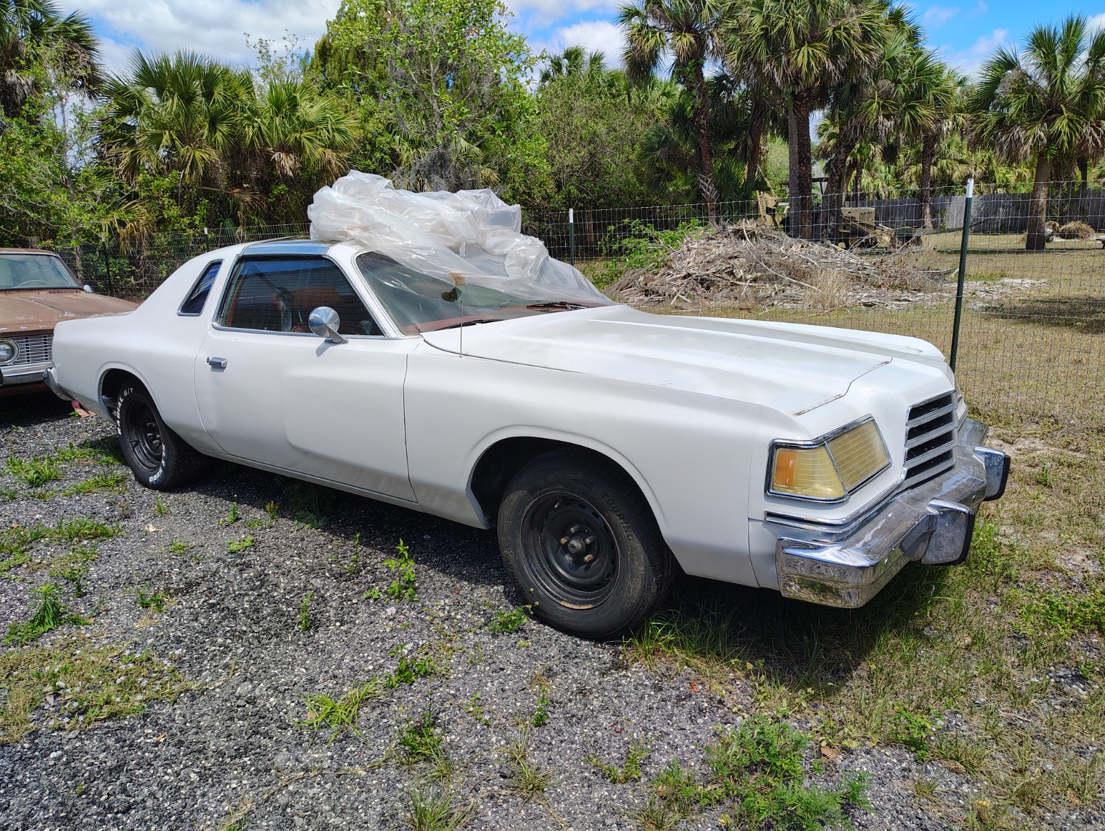 Dodge-Magnum-1978-Coupe