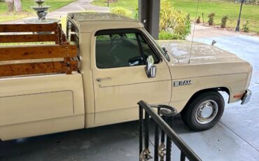 Dodge-Other-1988-Standard-Cab-Pickup-32