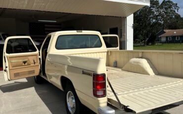 Dodge-Other-1988-Standard-Cab-Pickup-4