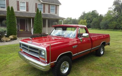 Dodge Other 1989 Standard Cab Pickup