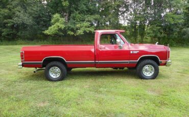Dodge-Other-1989-Standard-Cab-Pickup-5