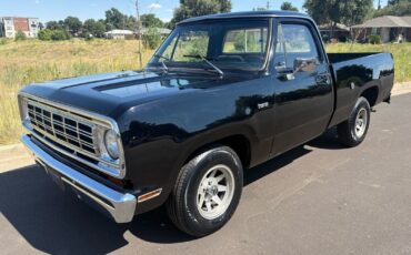 Dodge-Other-Pickups-1976-21