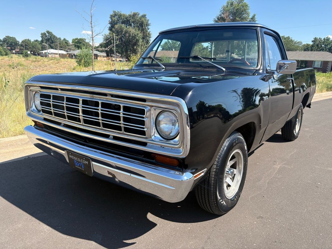 Dodge-Other-Pickups-1976-32