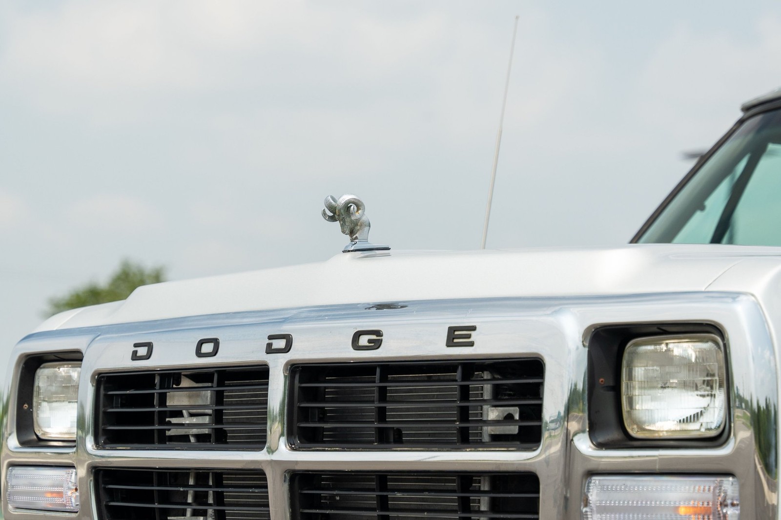 Dodge-Other-Pickups-1991-Pickup-Truck-13