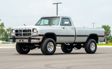 Dodge-Other-Pickups-1991-Pickup-Truck-17