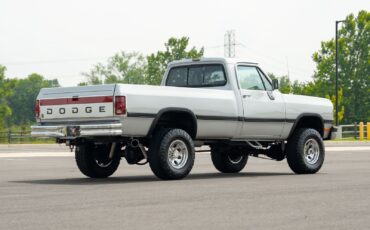 Dodge-Other-Pickups-1991-Pickup-Truck-23