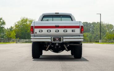 Dodge-Other-Pickups-1991-Pickup-Truck-26