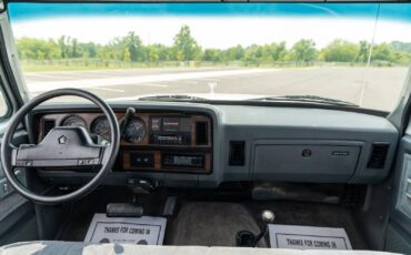 Dodge-Other-Pickups-1991-Pickup-Truck-39