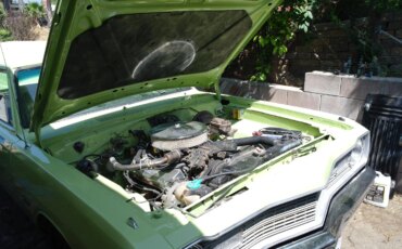 Dodge-Other-dodge-models-1973-Green-Green-5