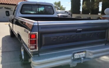 Dodge-Other-dodge-models-1984-Gray-Gray-1