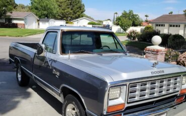 Dodge-Other-dodge-models-1984-Gray-Gray-3